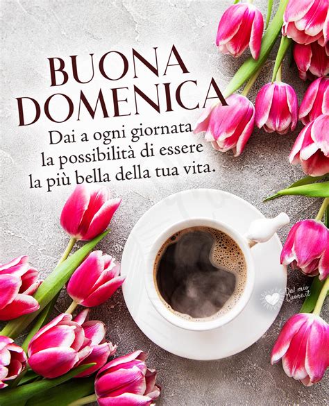 buona domenica bilder|idee di una buona domenica.